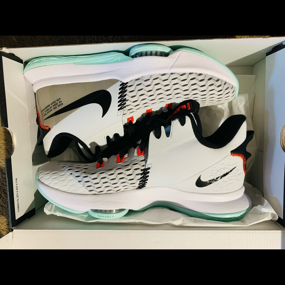 Lebron Witness V